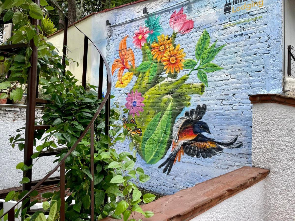 Mi Zona Lodging Coyoacan Mexico Extérieur photo