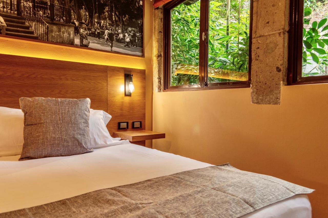 Mi Zona Lodging Coyoacan Mexico Extérieur photo